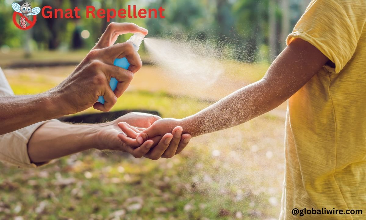 Gnat Repellent: How to Get Rid of Gnats Naturally and Keep Them Away